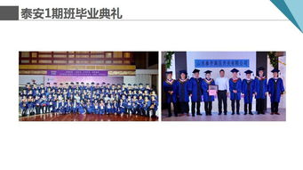 共享單車浮沉啟示錄 企業運營如何借鑒藝術策展思維